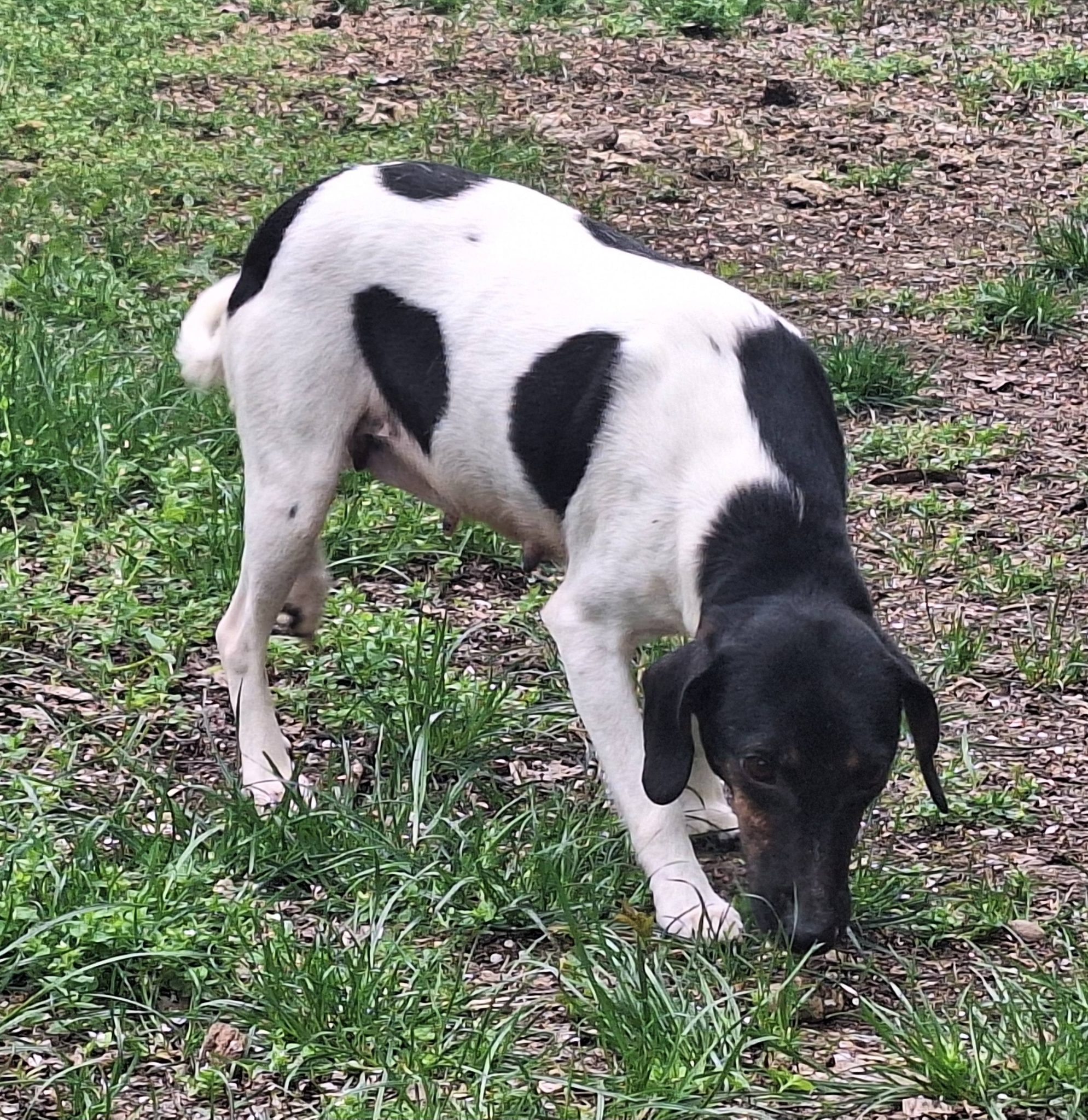 668995274_1004677845453565_5575702688102025368_n