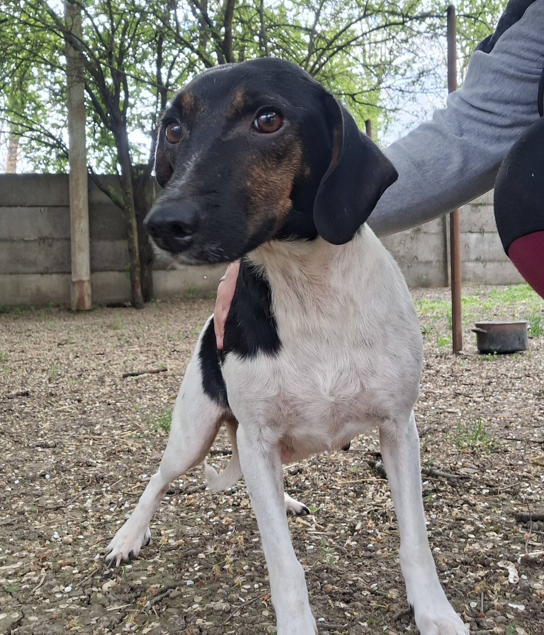 669077975_1004677602120256_7700619397365259537_n