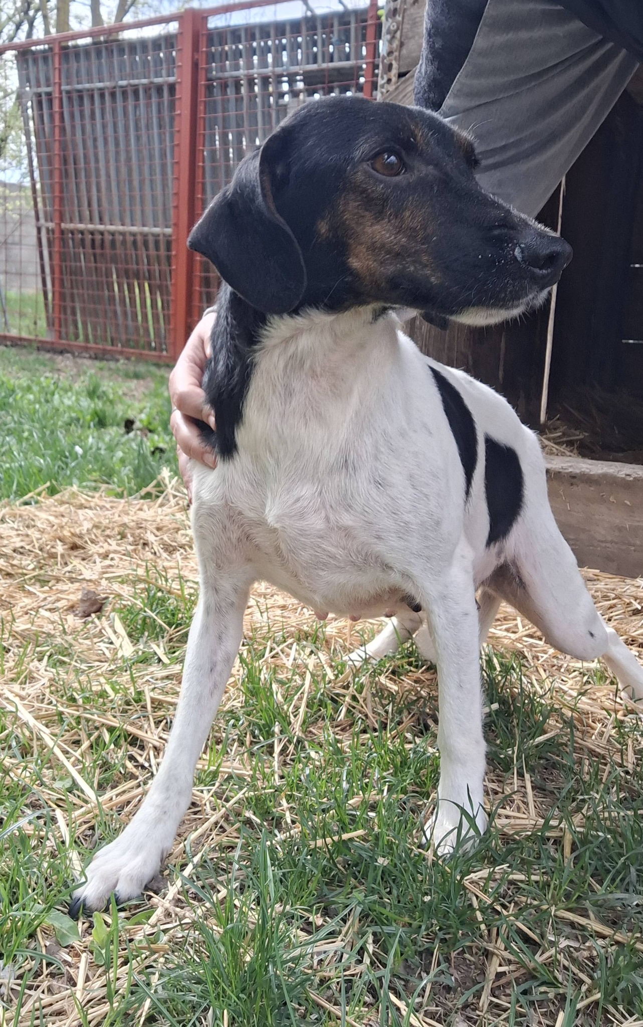 669639450_1004677958786887_8906396174928521196_n