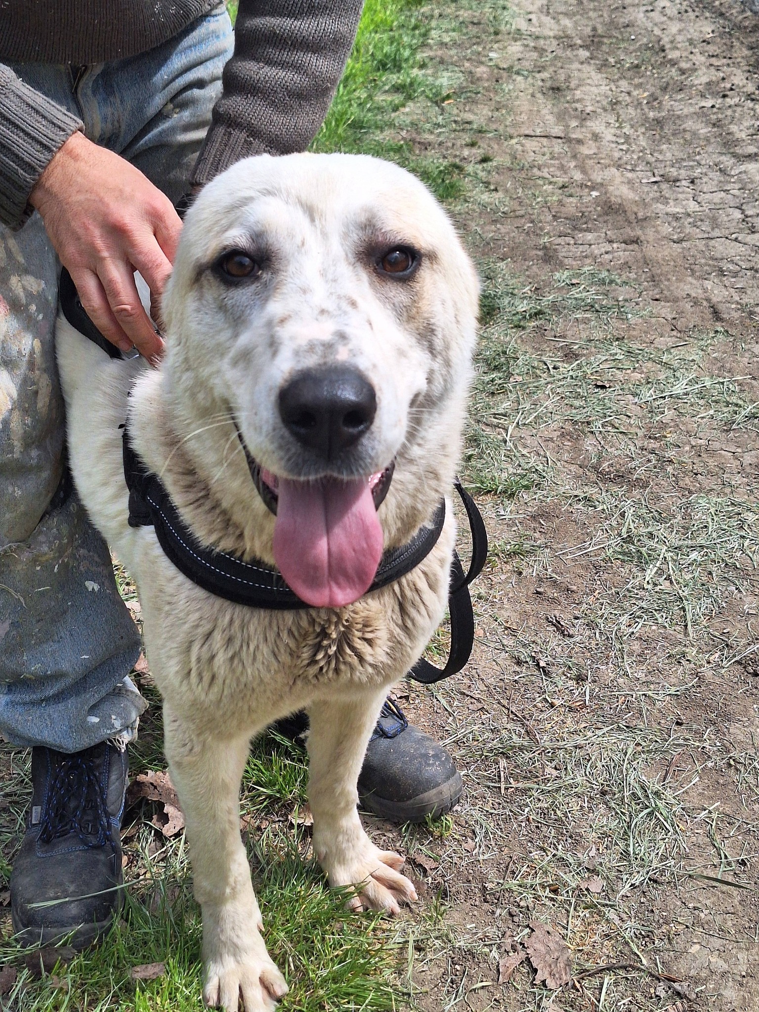 671149049_1007130455208304_3552673583581858283_n