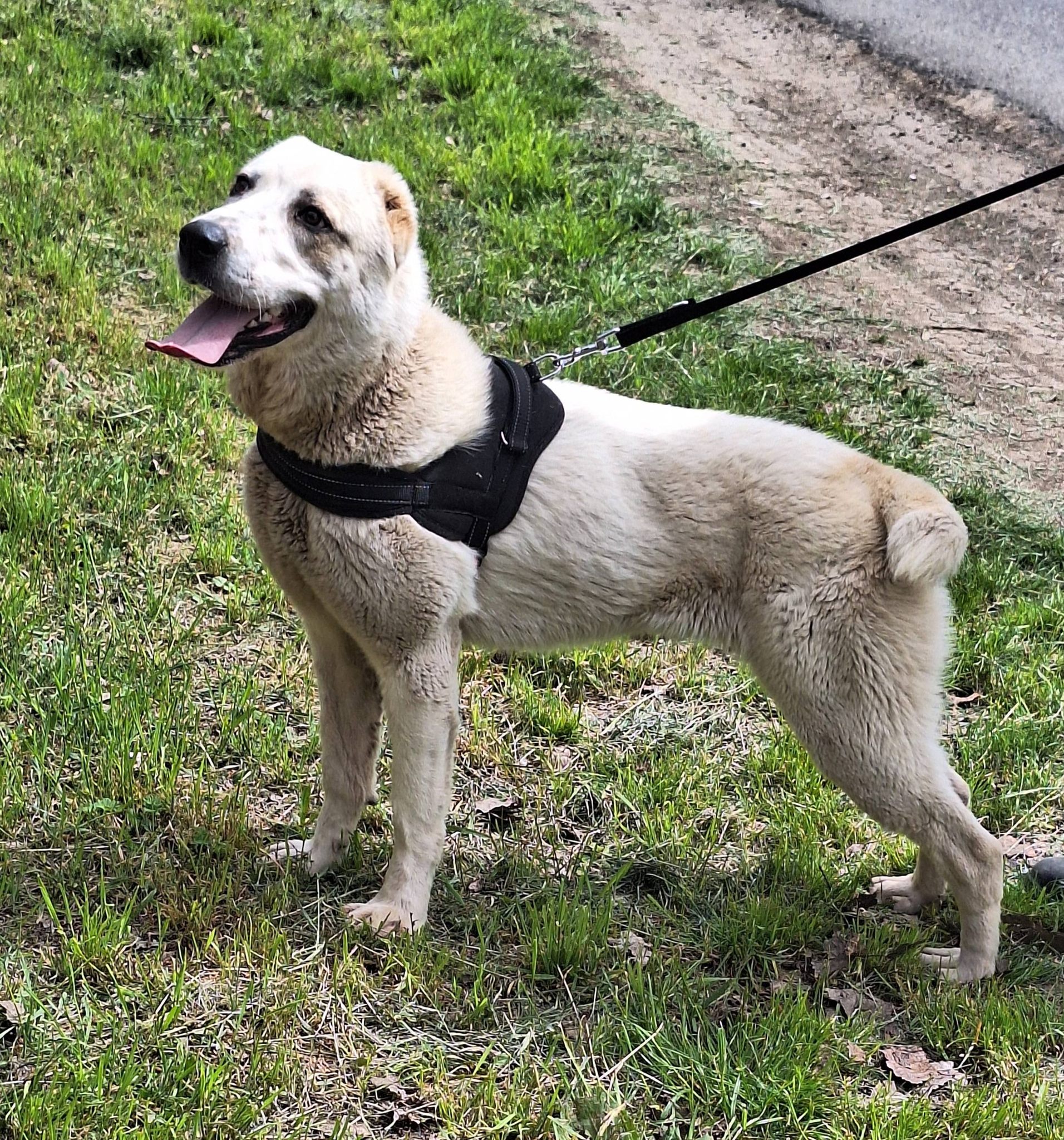 671643139_1007130325208317_4766229560707930164_n