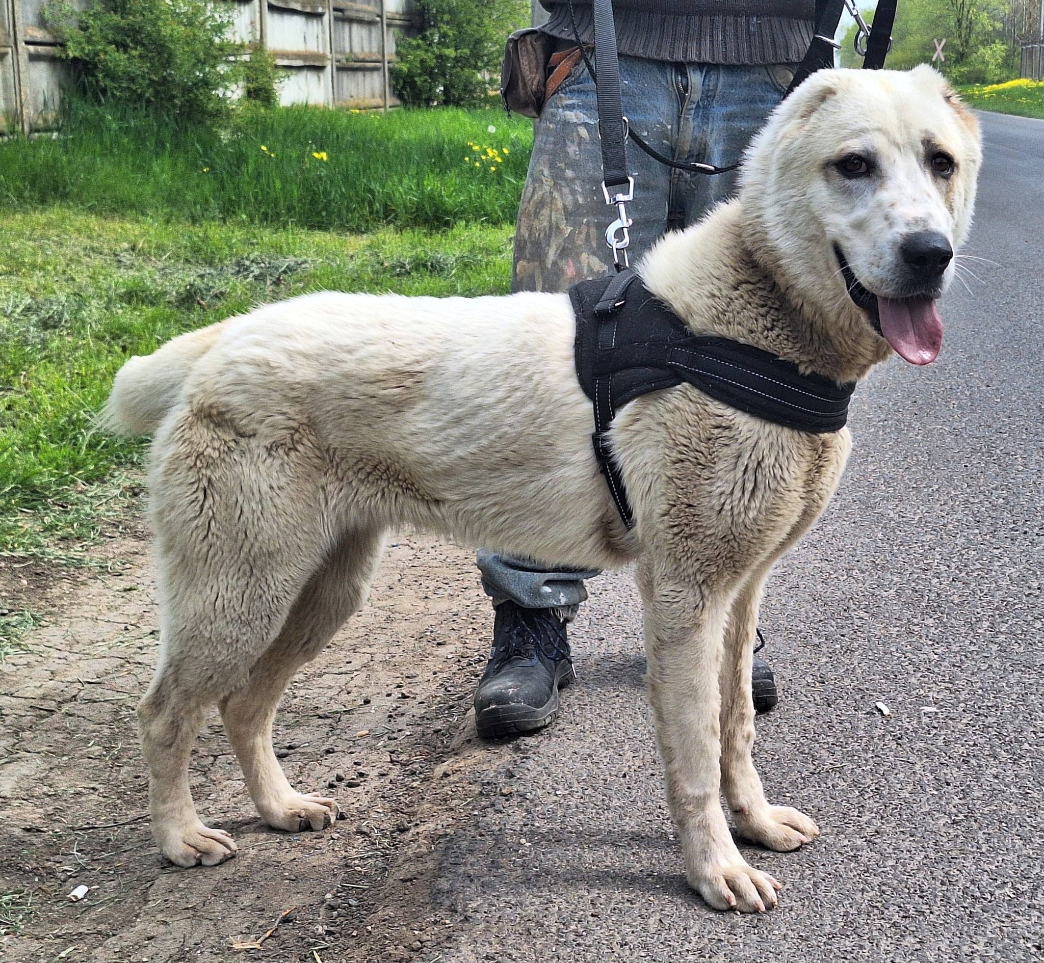 672681990_1007130521874964_2827910270811502095_n