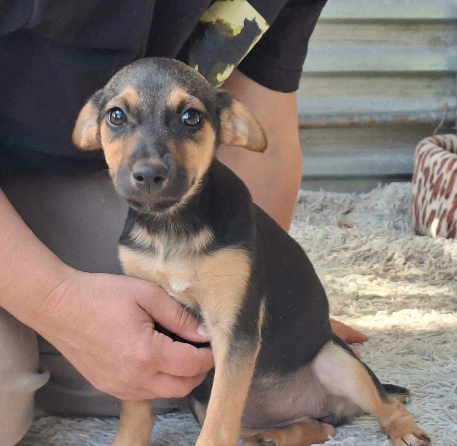 838715544_1093091250275956_1991842259122291039_n